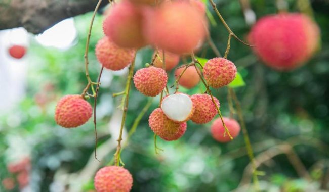 1223-a0cf60868796731ece2954d1998455fa