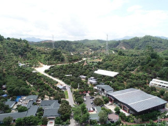 1223-b11aa76599692d5050ac551d3af49020