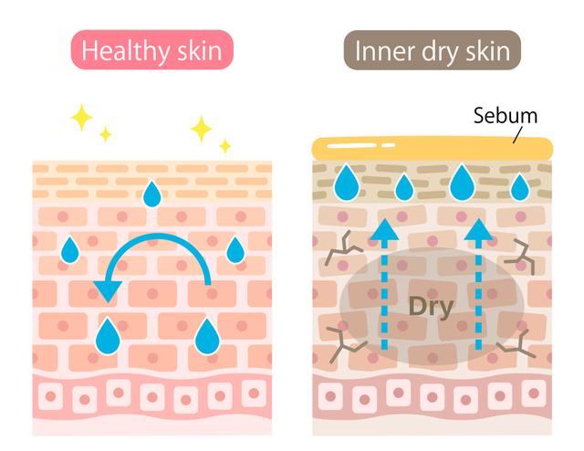 d058ccbf6c81800acaa33a3c4fbf67f6838b47d1.jpeg@f_auto