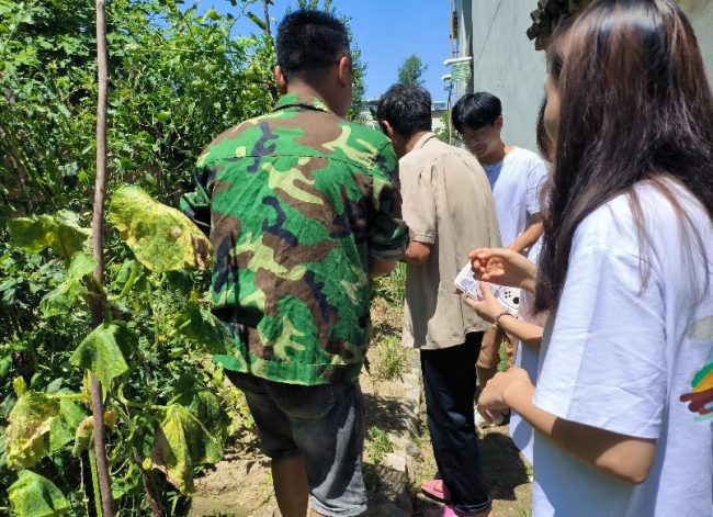 1223-4951de5a4dd323992ac49a90920bc87e