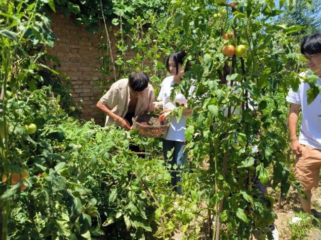 1223-bf5bbfde1d6985b22a86471af1da1821