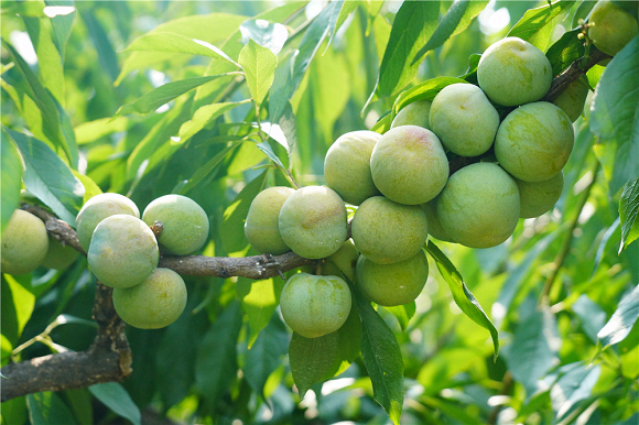 20230821160825495035450