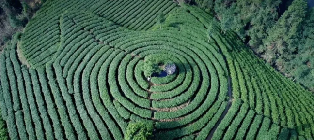 20241021165948798578119